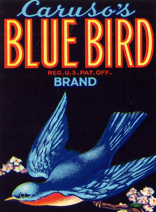 carusos-blue-bird-mosiac.png