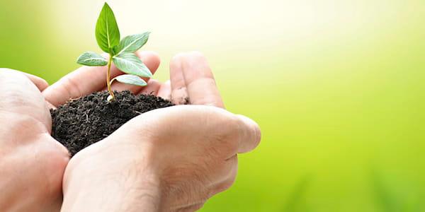 Create a Legacy: Give Through Your Will or Trust